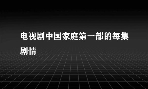 电视剧中国家庭第一部的每集剧情