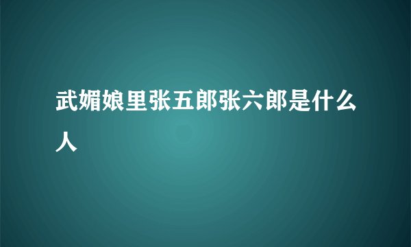 武媚娘里张五郎张六郎是什么人