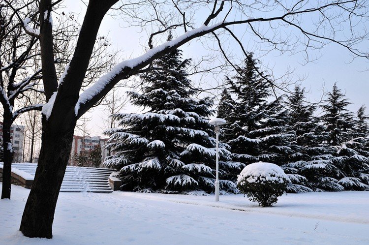 唐山学院怎么样