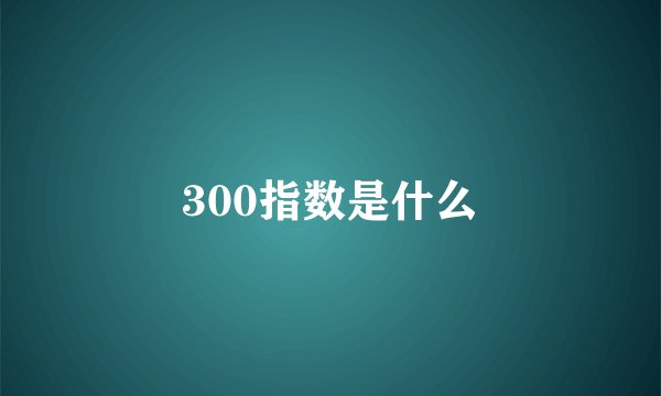 300指数是什么