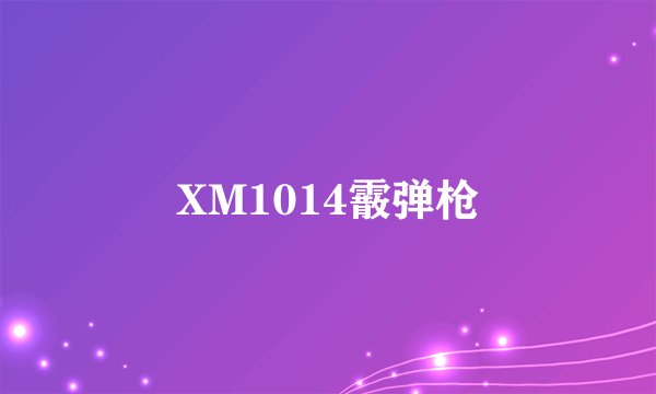 XM1014霰弹枪