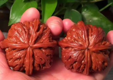 盘它是什么梗？