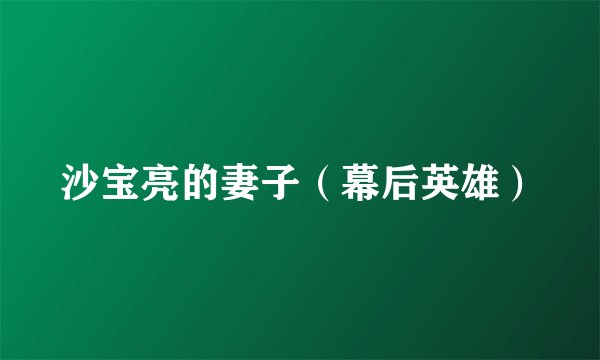 沙宝亮的妻子（幕后英雄）