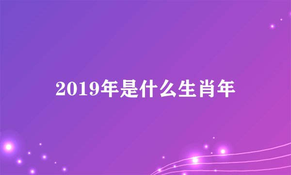 2019年是什么生肖年