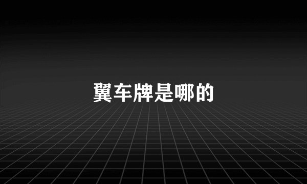 翼车牌是哪的
