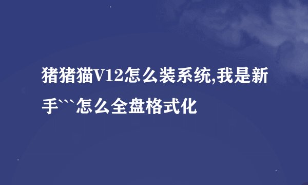 猪猪猫V12怎么装系统,我是新手```怎么全盘格式化