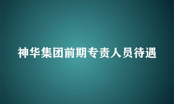 神华集团前期专责人员待遇
