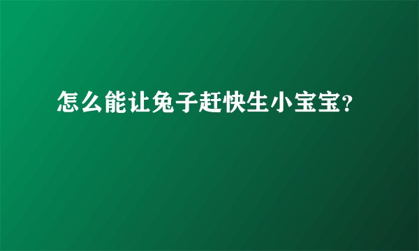 怎么能让兔子赶快生小宝宝？
