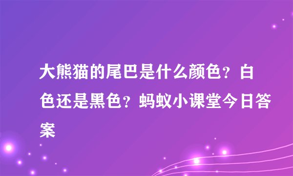 大熊猫的尾巴是什么颜色？白色还是黑色？蚂蚁小课堂今日答案