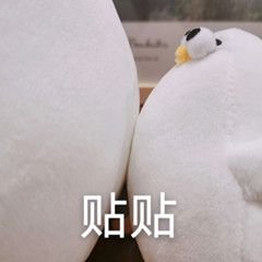 高音质和无损音质哪个好