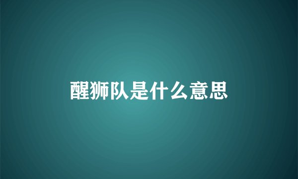 醒狮队是什么意思