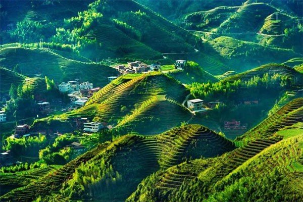 亚热带季风气候的成因