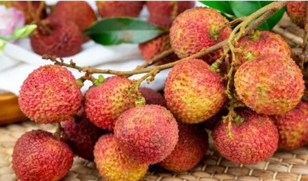 lychee是什么意思