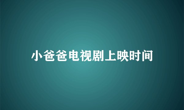 小爸爸电视剧上映时间