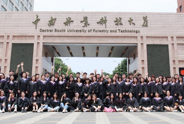 湖南林业科技大学涉外学院分数线