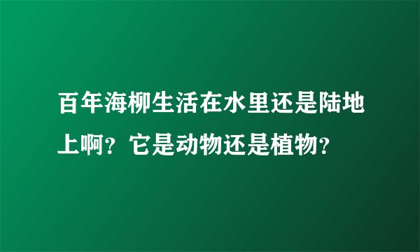 百年海柳生活在水里还是陆地上啊？它是动物还是植物？