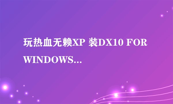 玩热血无赖XP 装DX10 FOR WINDOWS XP能玩不？