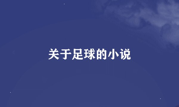 关于足球的小说