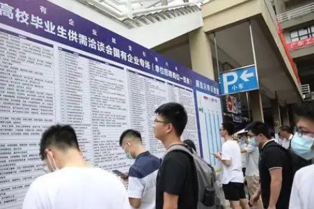 广东山区县招聘收到700多名硕博报名，其中有哪些值得关注的信息？