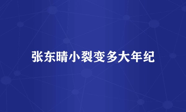 张东晴小裂变多大年纪