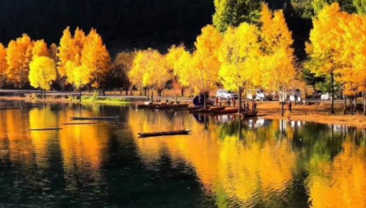 秋天的声音有哪些呢？