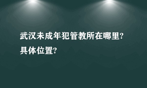 武汉未成年犯管教所在哪里?具体位置?