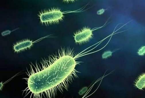 弱弱的问一下：GJM是什么意思