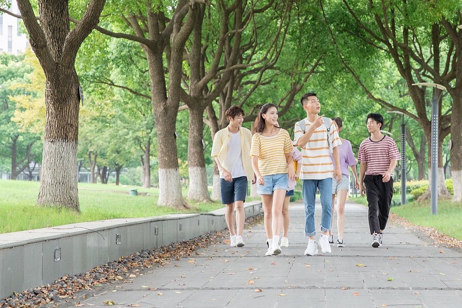 十大必看青春校园小说