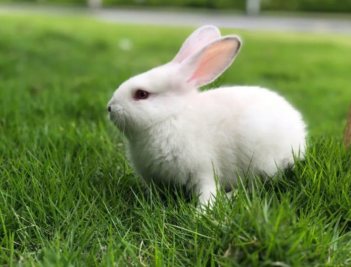 2024一月一日是什么年