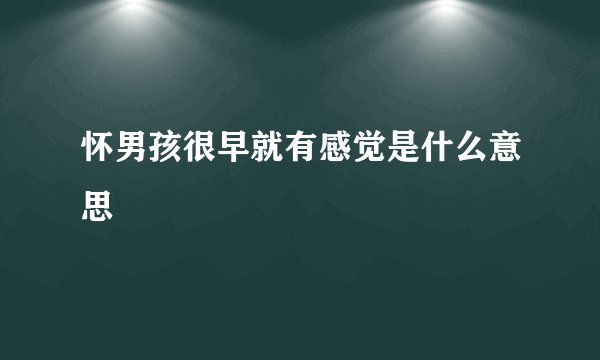 怀男孩很早就有感觉是什么意思