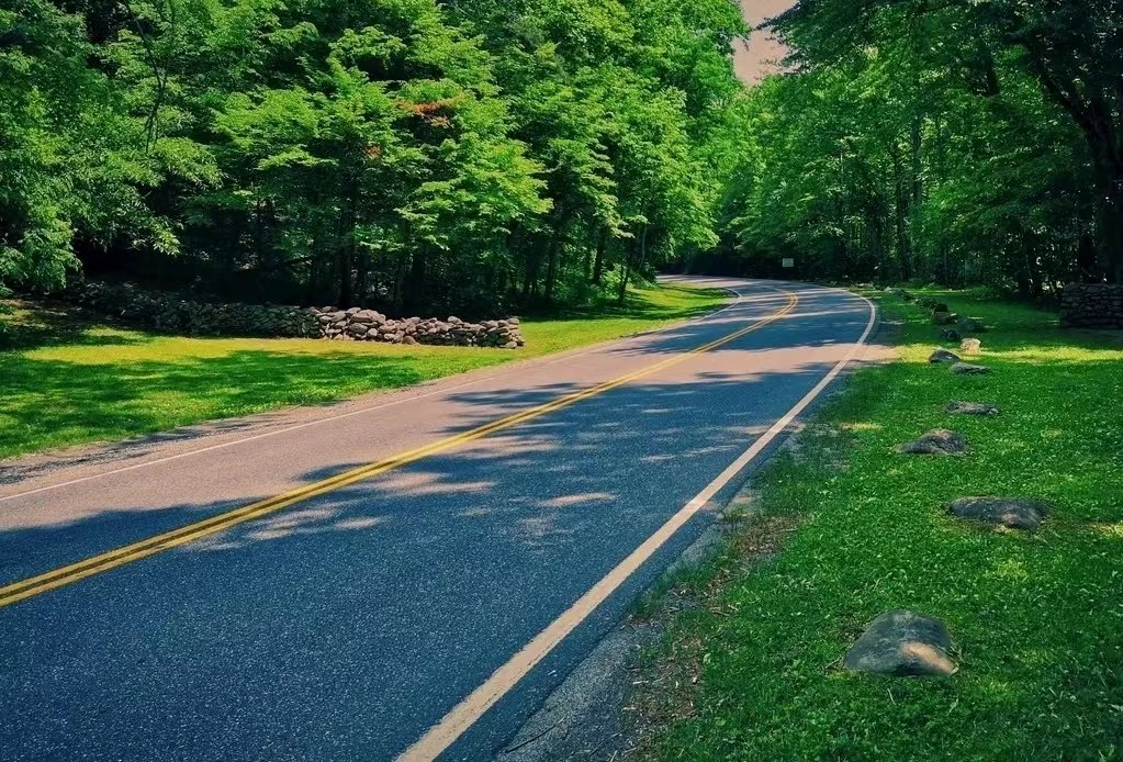 蜿蜒的近义词和反义词是什么