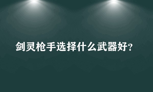 剑灵枪手选择什么武器好？