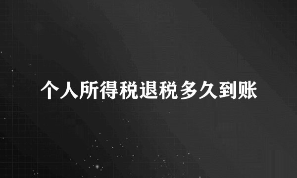 个人所得税退税多久到账