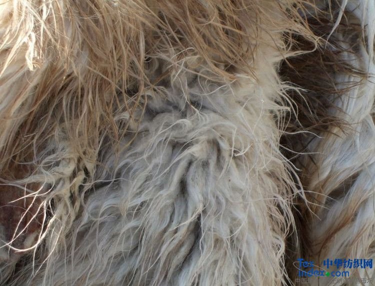 山羊毛的介绍