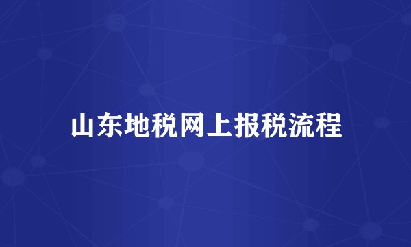 山东地税网上报税流程