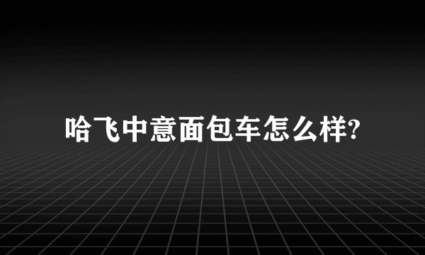 哈飞中意面包车怎么样?