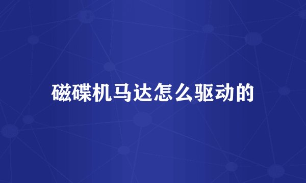 磁碟机马达怎么驱动的