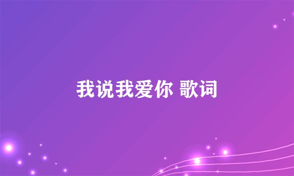 我说我爱你 歌词