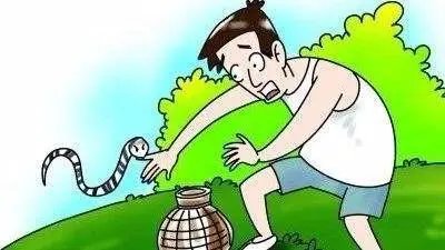 重庆一位女子江边散步被蛇咬伤肿胀如馒头，遇到这种情况该怎么办？