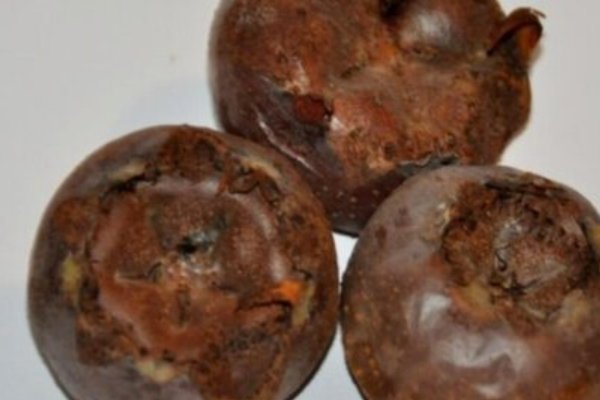 10种最吓人的水果