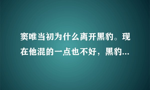窦唯当初为什么离开黑豹。现在他混的一点也不好，黑豹也没有当时出色。