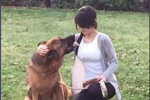 晋江文学城作者榜排名