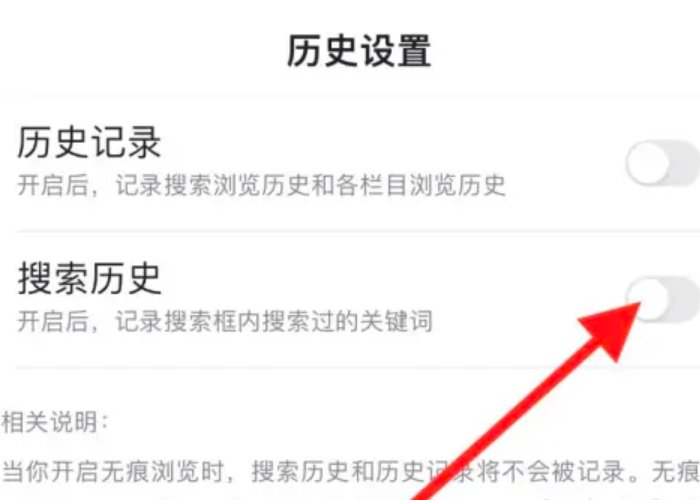 如何打开历史搜索记录