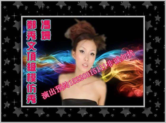 中国山寨明星艺术团的中国山寨明星艺术团简介