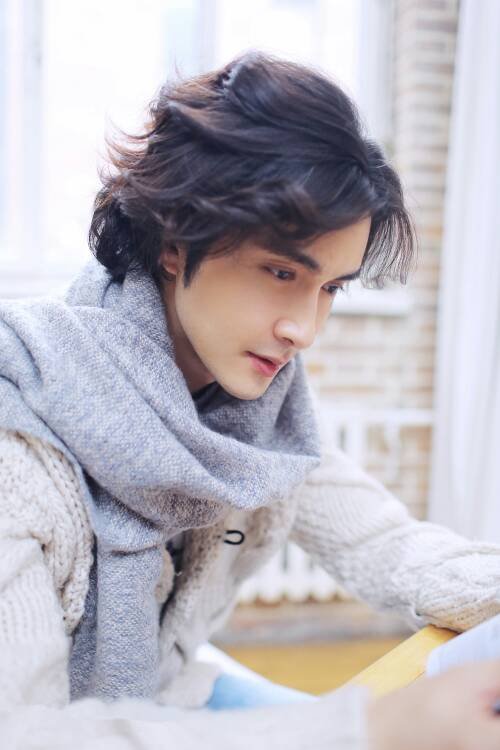 高家明是谁演的，高家明扮演者，亲爱的翻译官高