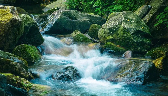 蔓延和漫延的区别是什么