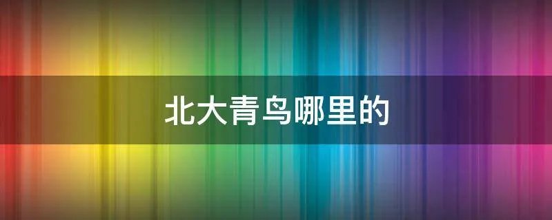 北大青鸟哪里的