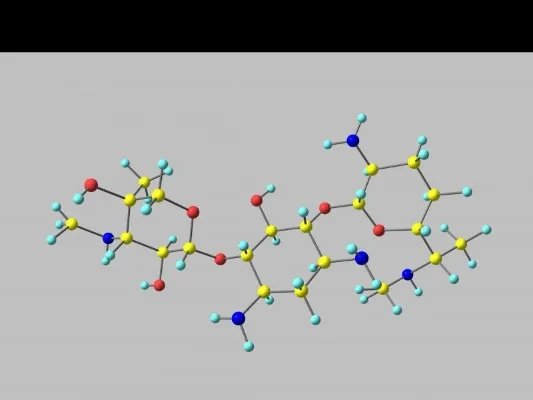 抗生素的使用原则