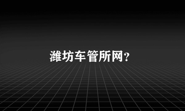 潍坊车管所网？