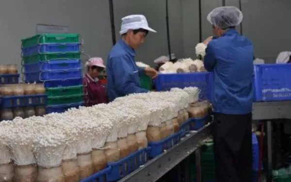 有什么赚钱的好项目？